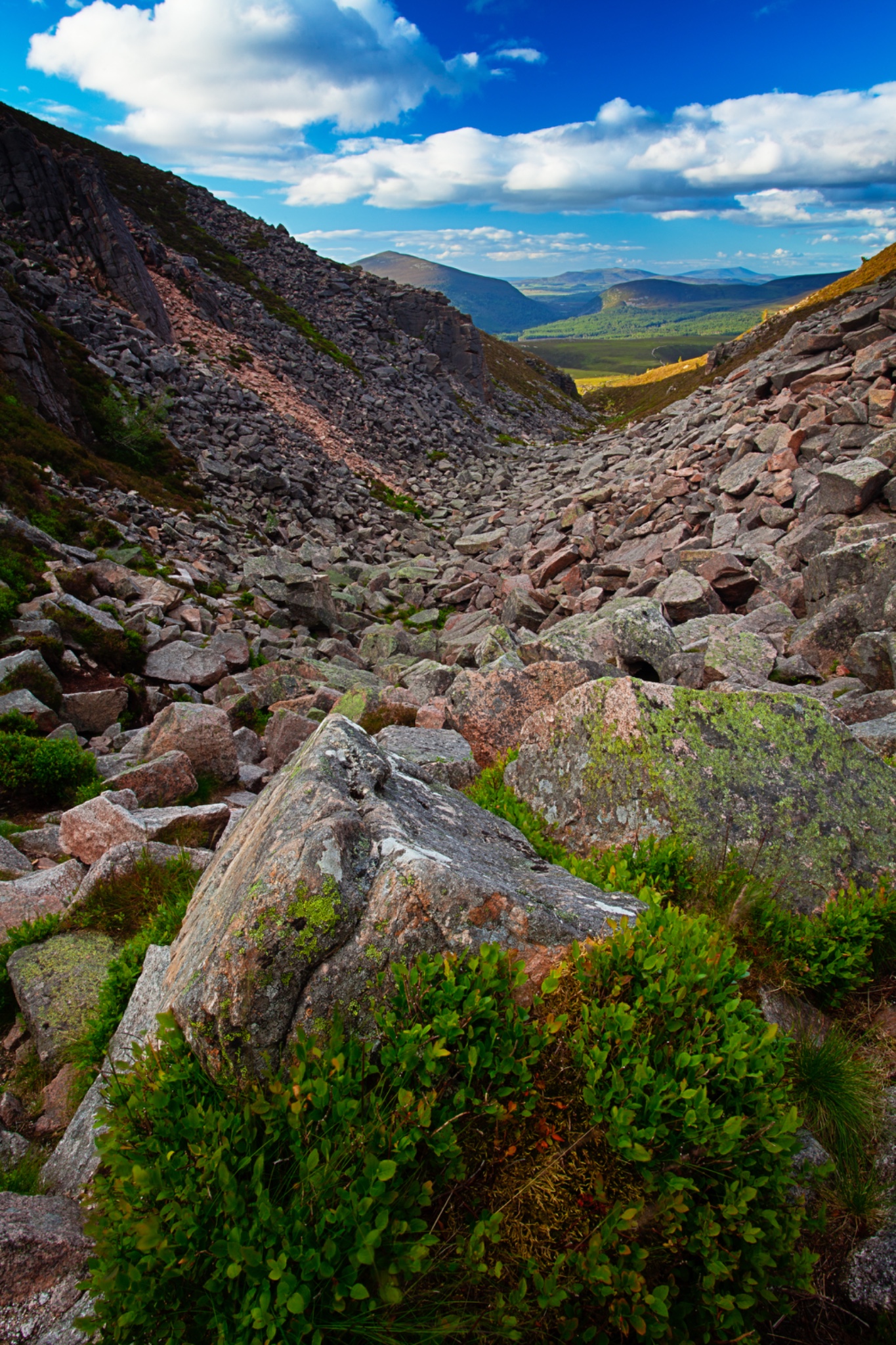 Scotland, Scottish Highlands, Cairngorms National Park, Chalamai